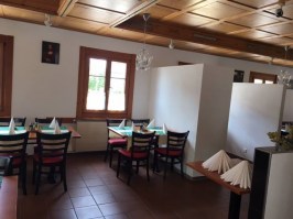 Gastro Stühle13